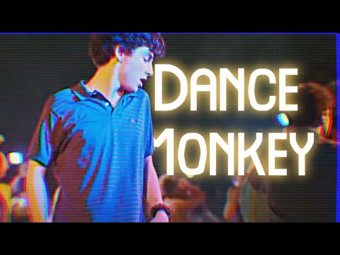 Dance Monkey 🐒