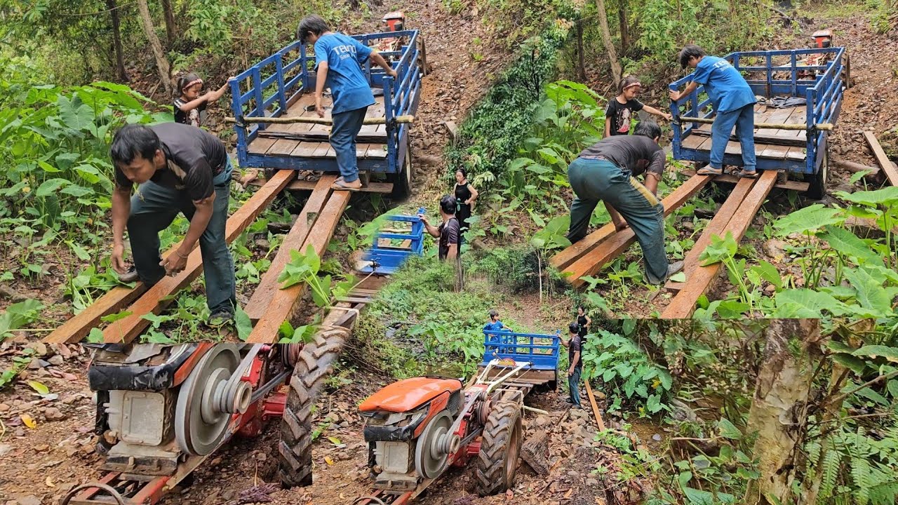 Tseb thauj ntoo tsi nto toj ce muab  thau