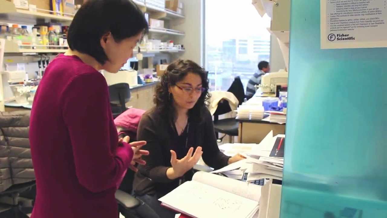 Sequestration's Potential Effects on UW Medicine Research