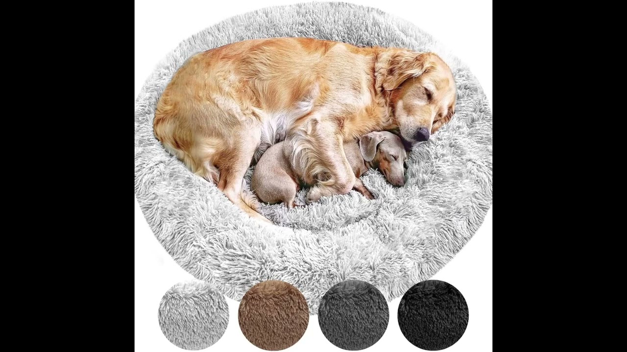 Hundebett Wolke 7 - Das Original - waschbar [XS, 60cm, braun]  Hundekissen, Hundekorb: gute Wahl? - YouTube
