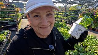 Garden Center Tour and Plant Shopping // Dirt and Dish