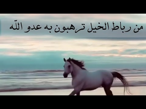 و أعدوا لهم ما استطعتم من قوة و من رباط الخيل ترهبون به عدو الله مسافر مع آيات الله