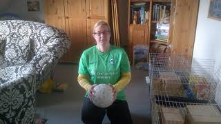 S.O.S. bei Werder Bremen in der Ballschule