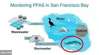 Session 3: PFAS