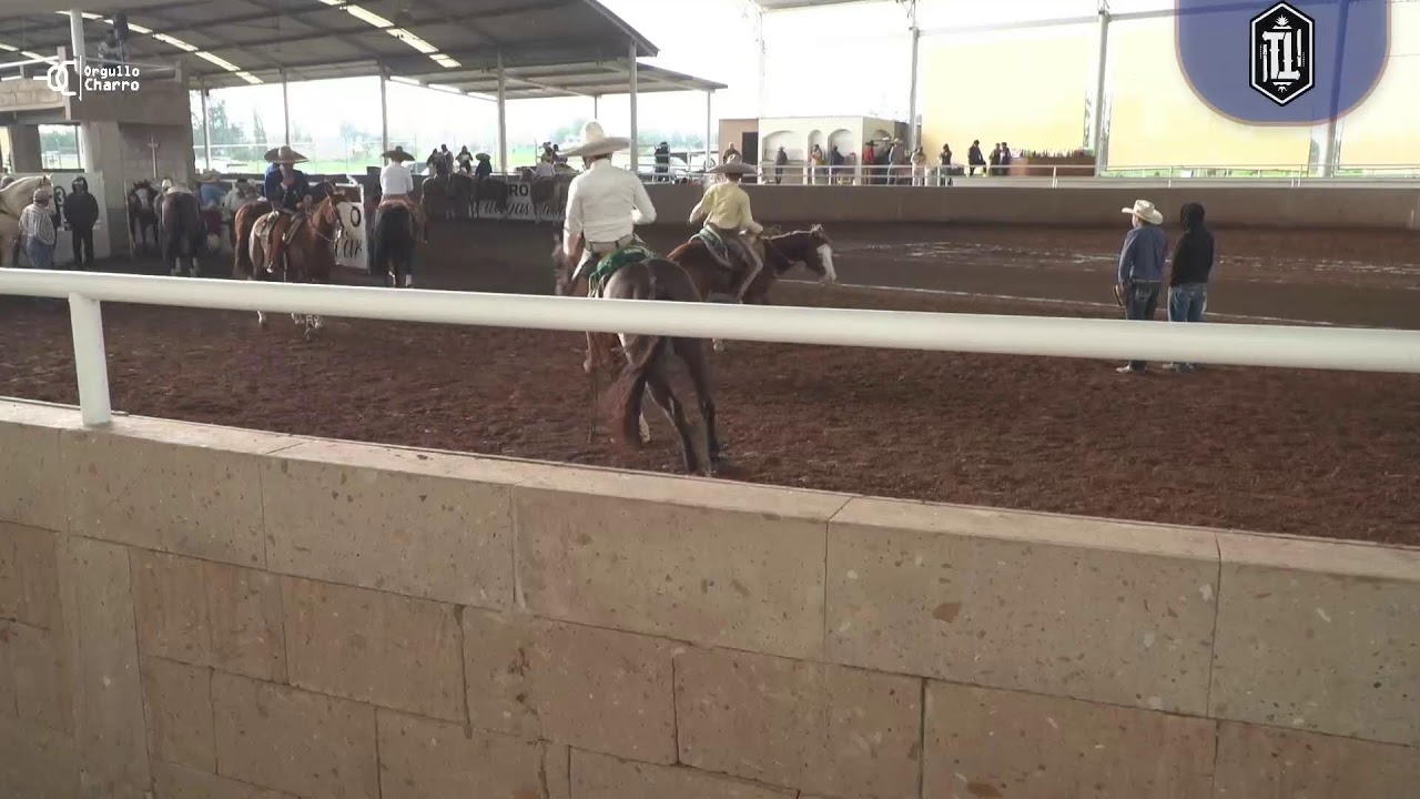 CALADERO LMCH CCCI CCCM 01/08/25