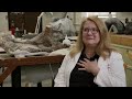 Carrie Barbour: Nebraska’s First Female Paleontologist | Nebraska Public Media