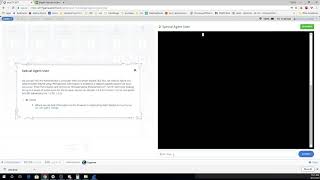 pico2017 special agent user