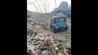 Rc scale crawler 1/10 scx10 jeep wrangler trophy challenge forestier D15 short2