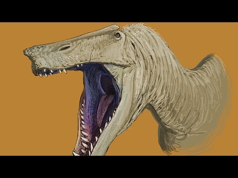 Irritator & Their