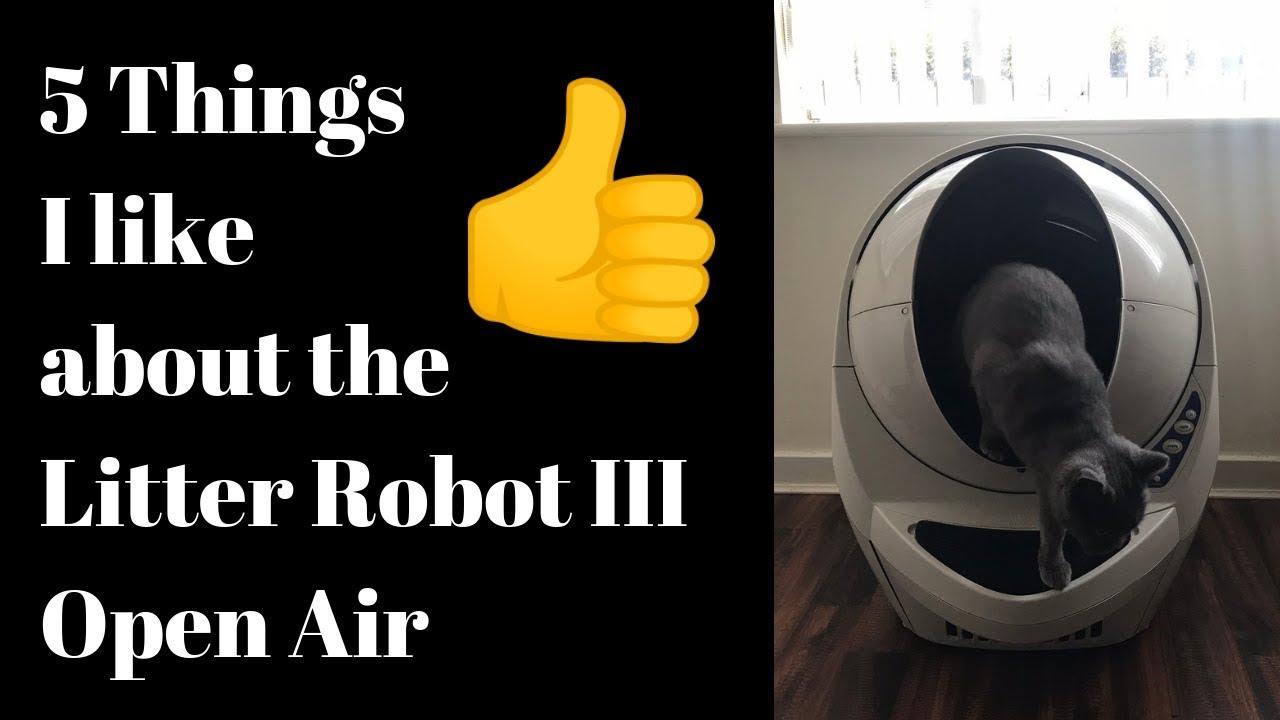 cats inn 5 Things I Like About The Litter Robot III Open Air