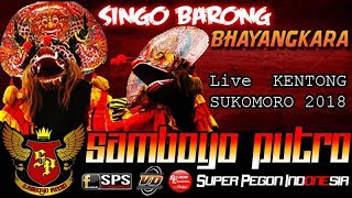 Rampokan Singo Barong BHAYANGKARA - SAMBOYO PUTRO Live KENTONG 2018