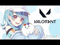 【VALORANT】深夜帯お邪魔します💙D1～【ぶいすぽ/白波らむね】