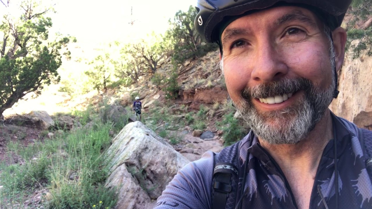 Cat Mesa take 2 YouTube