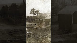 Lady Bluebeard: The Horrifying Crimes of Belle Gunness | Serial Killers..!!