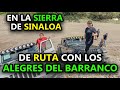 De ruta con alegres del barranco en la sierra de sinaloa