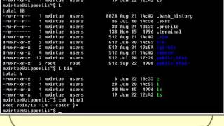 0303 Your PATH and bin.mp4