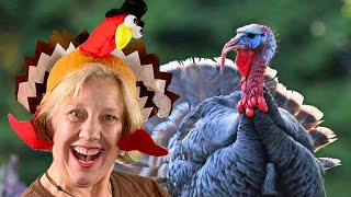 Turkey Time | Sing & Dance Preschool Nursery Rhyme | Ziggity Zag Music