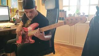 For Celebrations Past (Screaming Trees) - bass cover