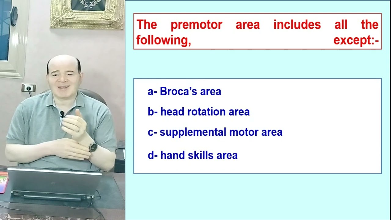 MCQ  Motor  Areas