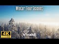 Vivaldi  winter four seasons 4k