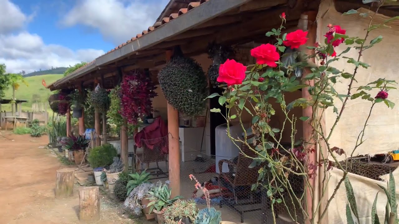 Живя здесь, больше ничего не нужно