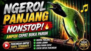  Pancingan Cucak Ijo Gacor Ngerol Panjang Nonstop  Ampuh Cepat Buka Paruh  pancingancucakijo