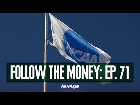 Texags Politics