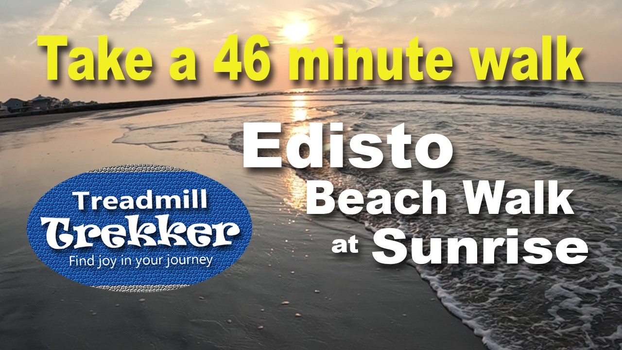 Edisto Beach South Carolina - Natural Soundscape - Virtual Treadmill Walk - Hike - Meditative  Walk
