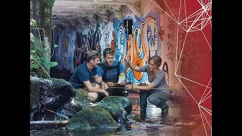 Live Q&A: Choosing Your Engineering Discipline