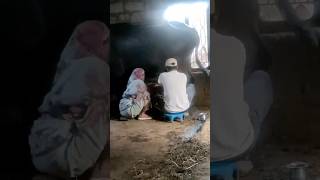 How We Make Pure A2 Ghee | Order #239 | Real Video Proof | Authentic Urban #PureA2Ghee  #DesiGhee