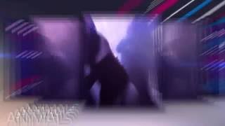 Martin Garrix - Animals Vj Percy Tribal Rework Version