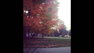 [FREE FOR PROFIT] CLOUD RAP TYPE BEAT "FLASHBACK" screenshot 3