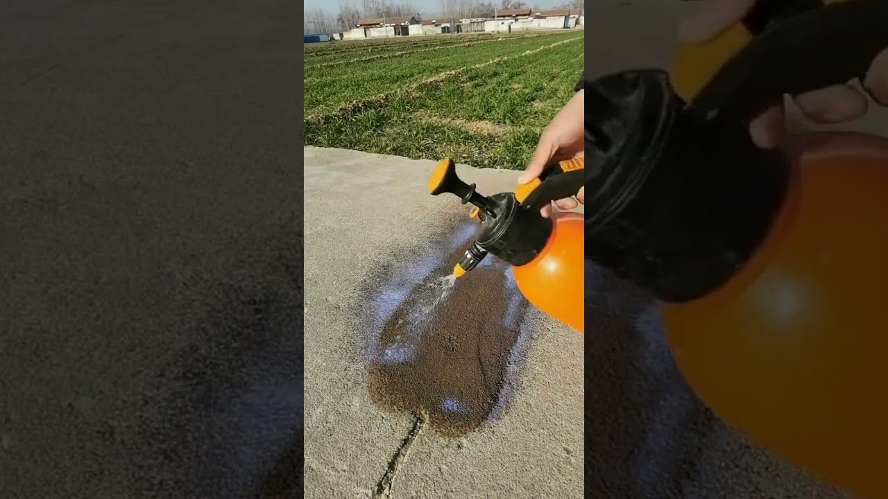 Удивительный процесс 💦 