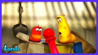 Larva - Geheim! 🤫 | Kindertelevisie | WildBrain Tekenfilm Stad