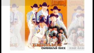 Video thumbnail of "TIGRILLOS CUMBIAS MIX"