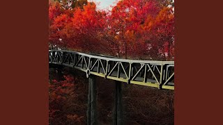 Download Lagu Seperti Bunga MP3