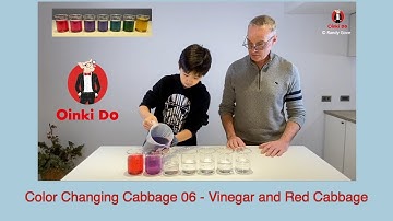 Color Changing Cabbage 06 - Vinegar and Red Cabbage