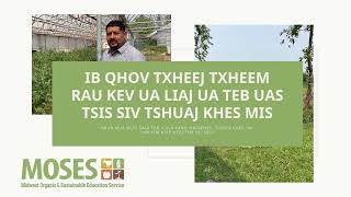 Ib Qhov Txheej Txheem Rau Kev Ua Liaj Ua Teb Uas Tsis Siv Tshuaj Khes Mis by marbleseedorg 66 views 2 years ago 1 hour, 4 minutes