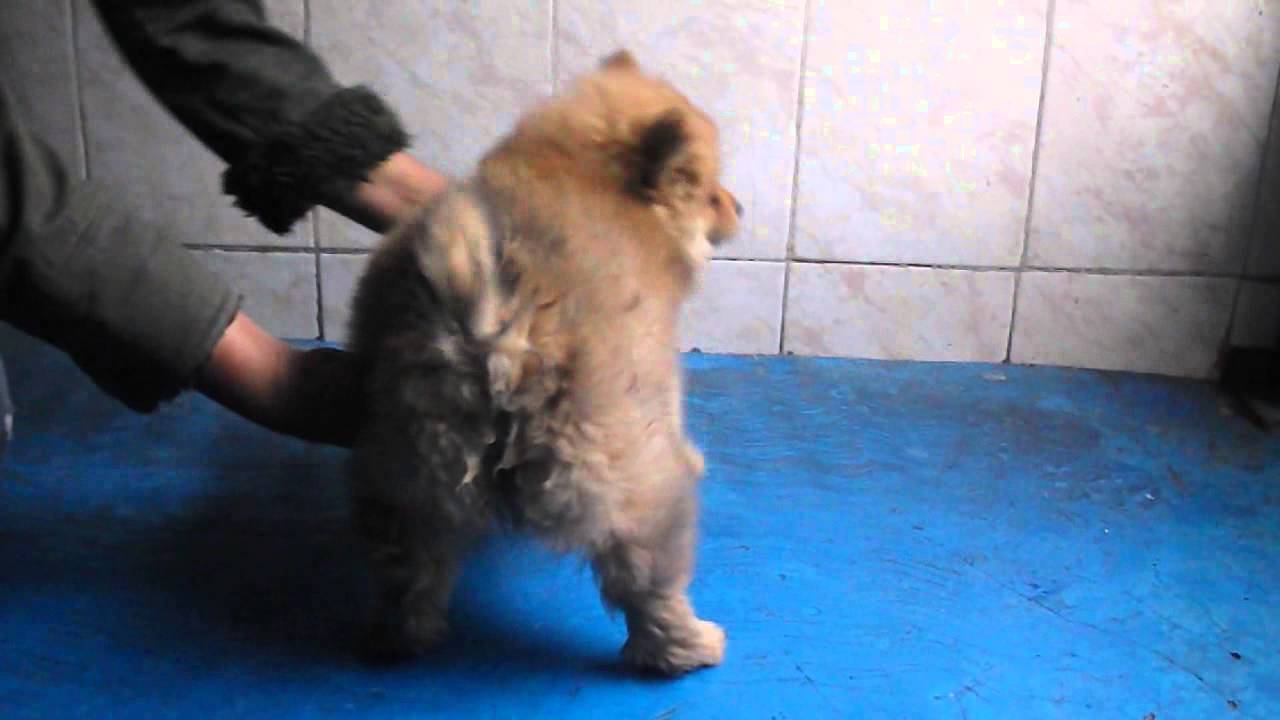 Mi vídeo editado compromiso