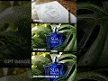 One Prompt, Viral Results.