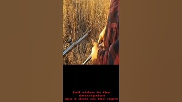 LIGHTING A MATCHLOCK IN THE 21ST CENTURY