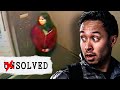BuzzFeed Unsolved Cases That Are Now SOLVED Mp3 Song