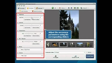 How to convert RAW images using AVS Image Converter?