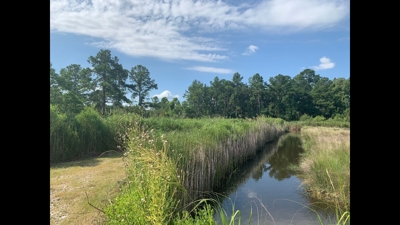 Land for Sale, Jasper County South Carolina, Wholesale Investment YouTube