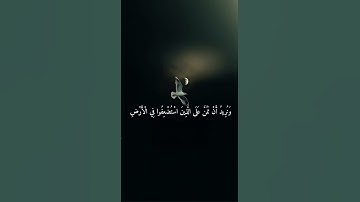 تلاوة عطرة من القران الكريم #اكسبلور منشاوي