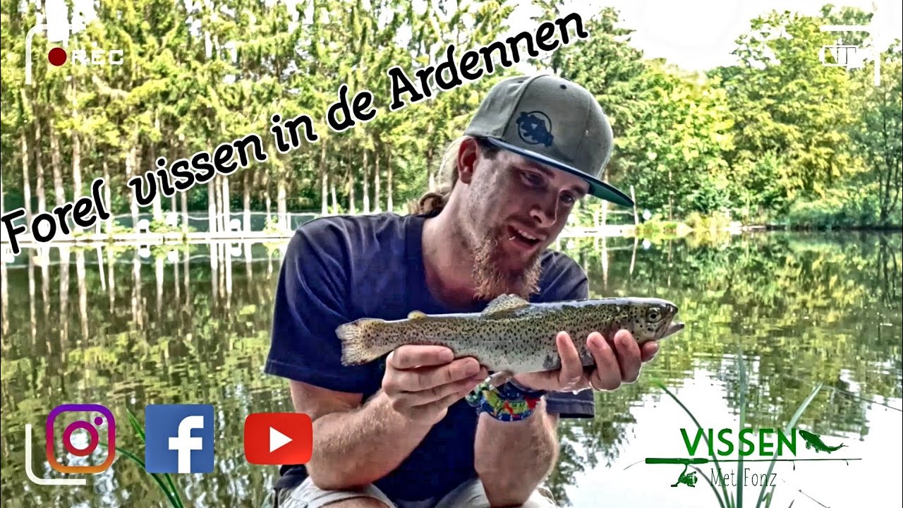 Uitrusten Uithoudingsvermogen rotatie Forel vissen in de Ardennen !!!tips en tricks schoonmaken forel!!! - YouTube