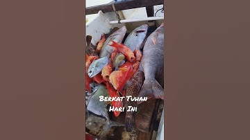 Panen Ikan