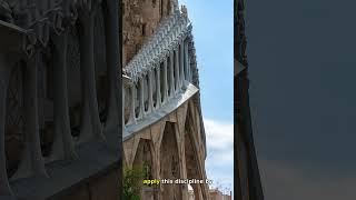 🏛️ In the stillness of the night, Epictetus' words echo through the centuries, "it' #stoicism