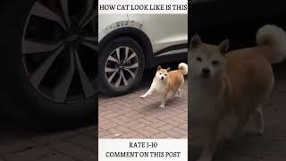 Hottest Twerk Trends You Cant Miss