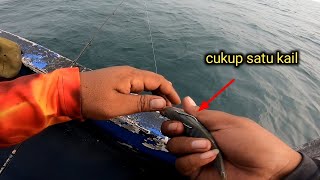 trik mancing ikan tengiri agar cepat sambaran ala nelayan